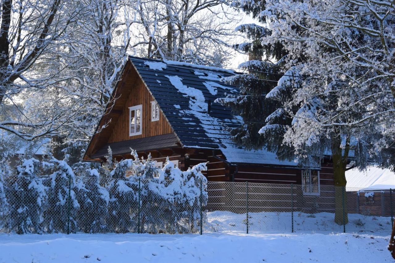 Roubenka Stepanka Villa Svratka ภายนอก รูปภาพ